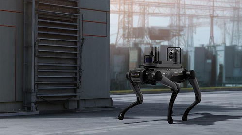 视源股份亮相世界制造业大会，四足机器人领衔创新产品集中展示