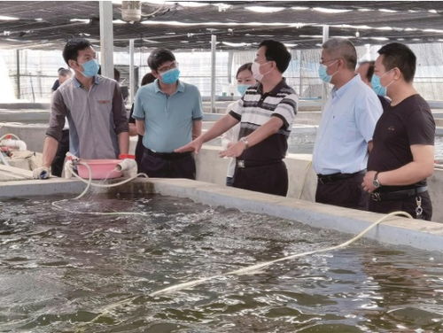 湖北省特殊之年 水产大省的特殊答卷及会议展览服务